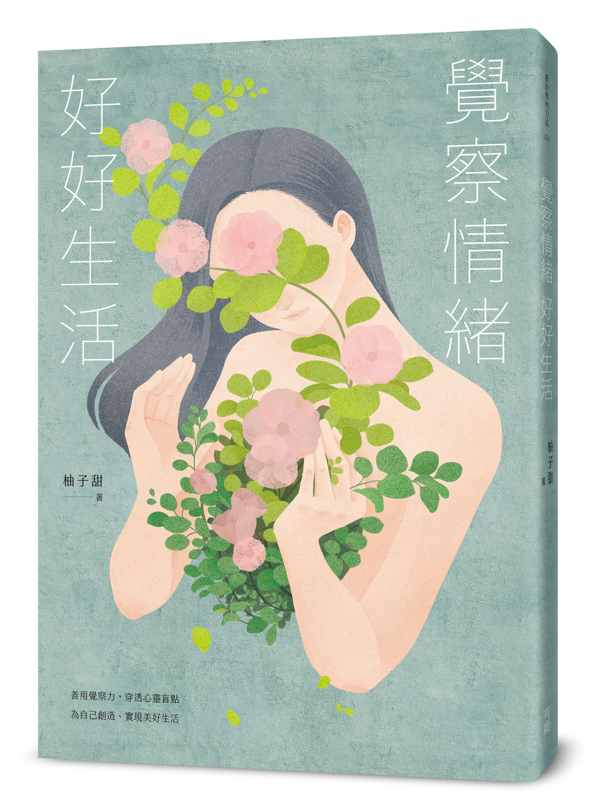 《覺察情緒,好好生活》立體書封