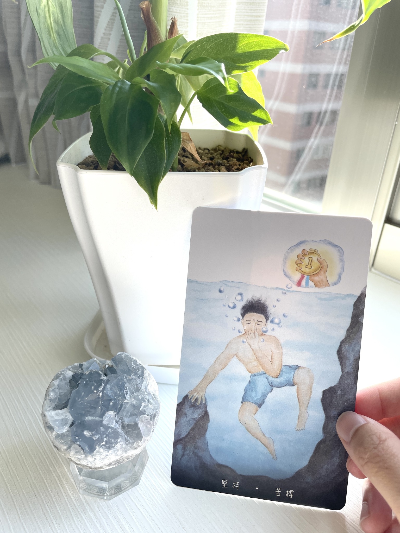 牌卡解夢：你真正在意的是什麼？