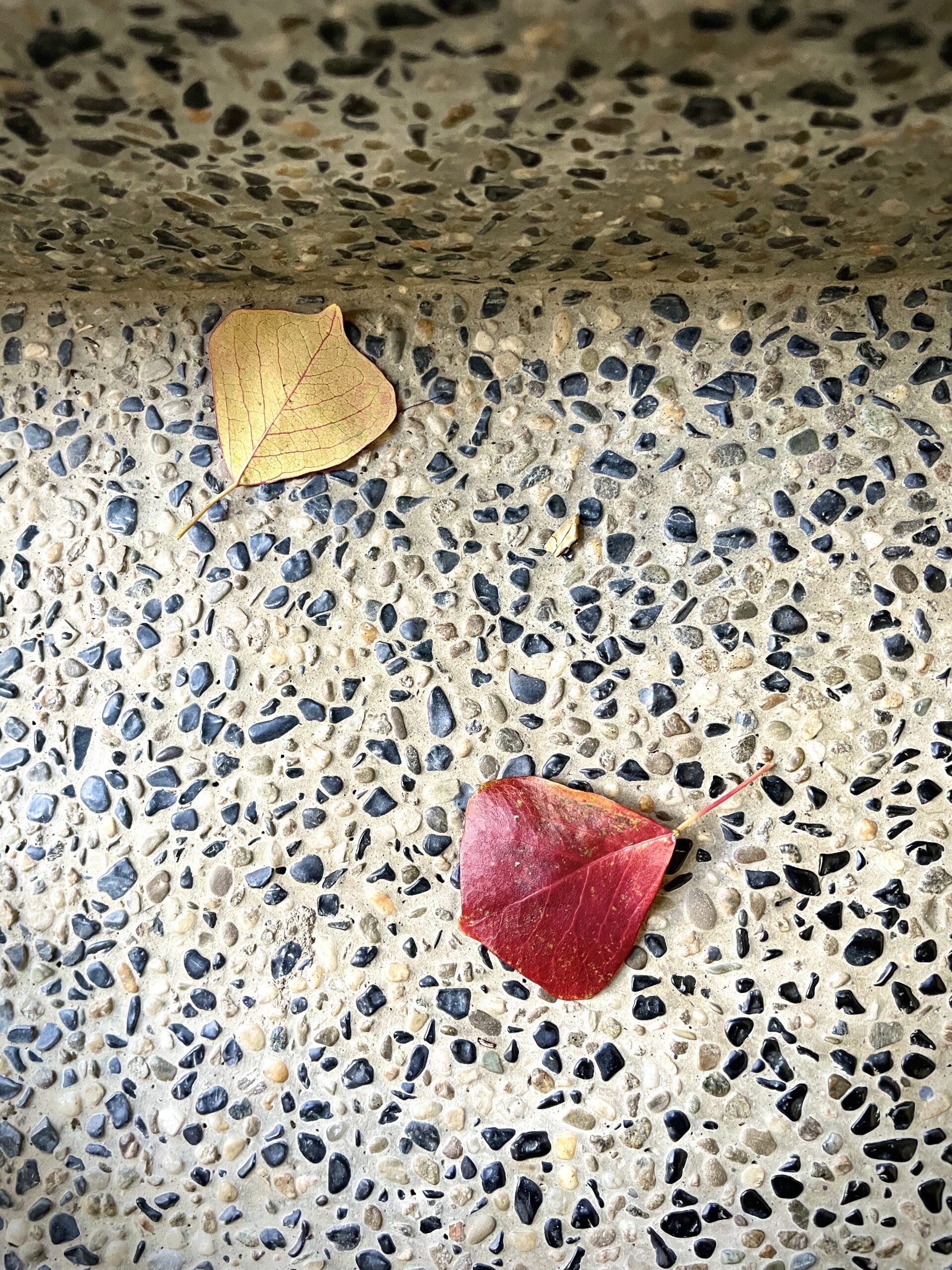 為什麼原本聊得好好的，忽然會激動起來
