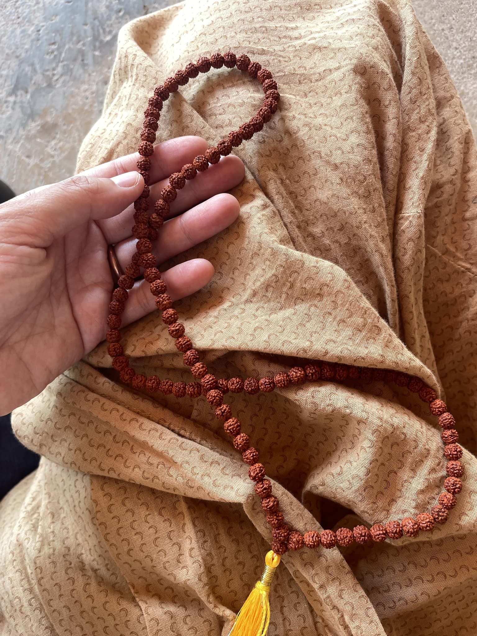 能量會說話：Saptarishi Arati 的菩提子