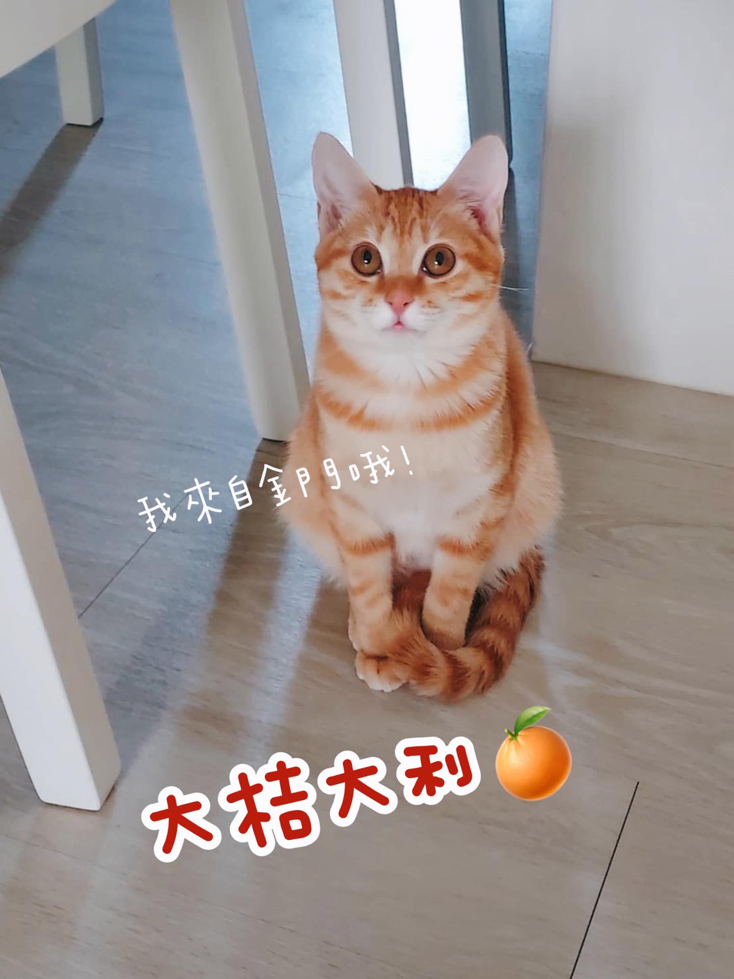 有一種愛是，謝謝老天讓我有機會愛你