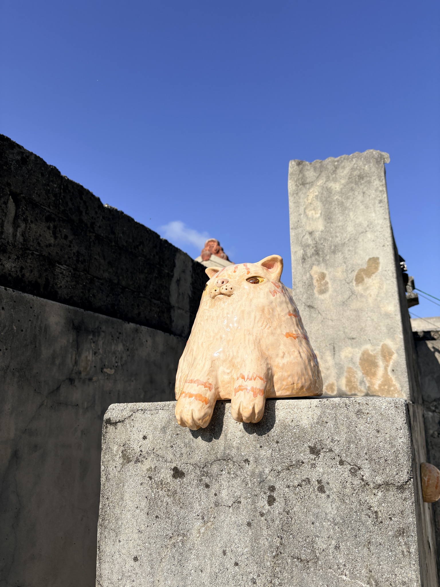離島是我第二個家：思考「二地居」的可能性